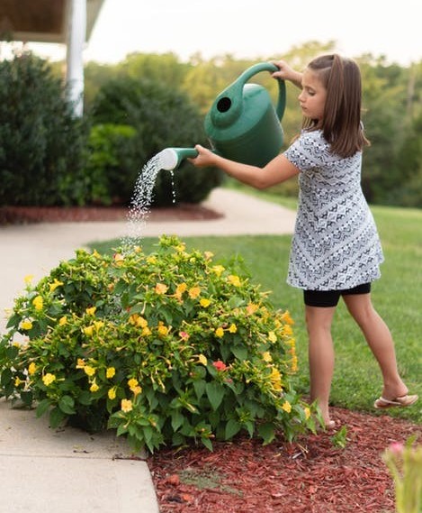 Learning-to-garden