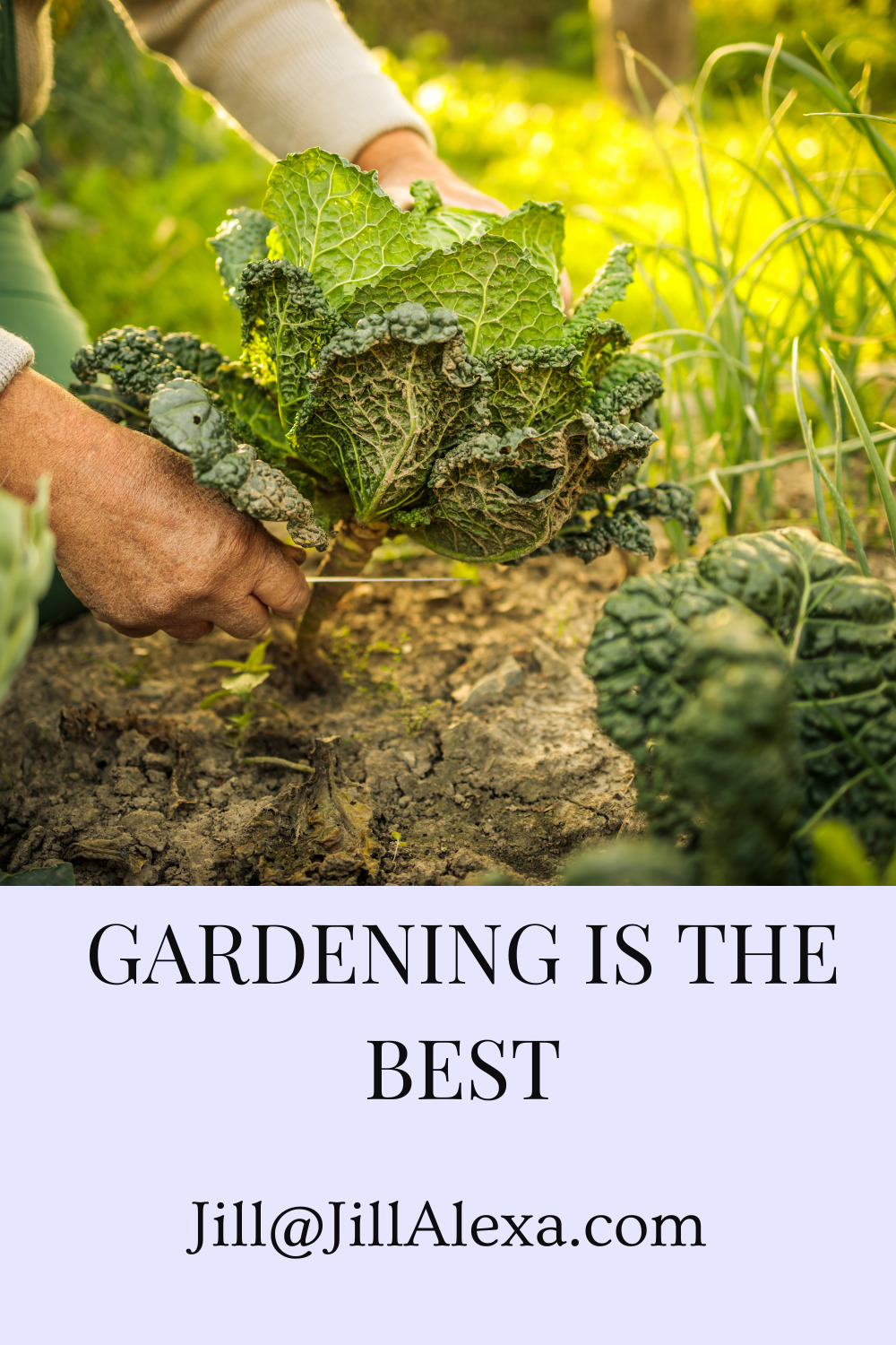 GARDENING IS THE BEST MEDICINE - working in the garden is therapeutic. It lifts the spirits. Get rid of the frustrations and anxieties while gardening.