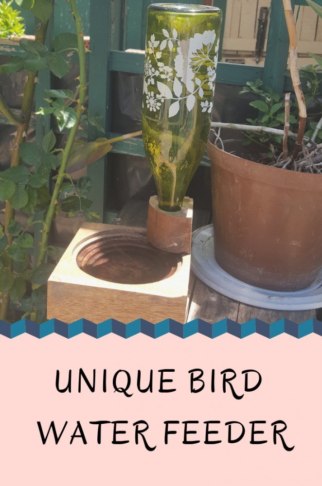#unique,bird,water,feeder