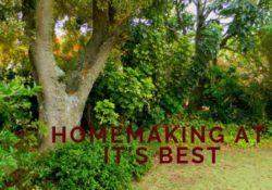HOMEMAKING AT ITS BEST | homemaking at it