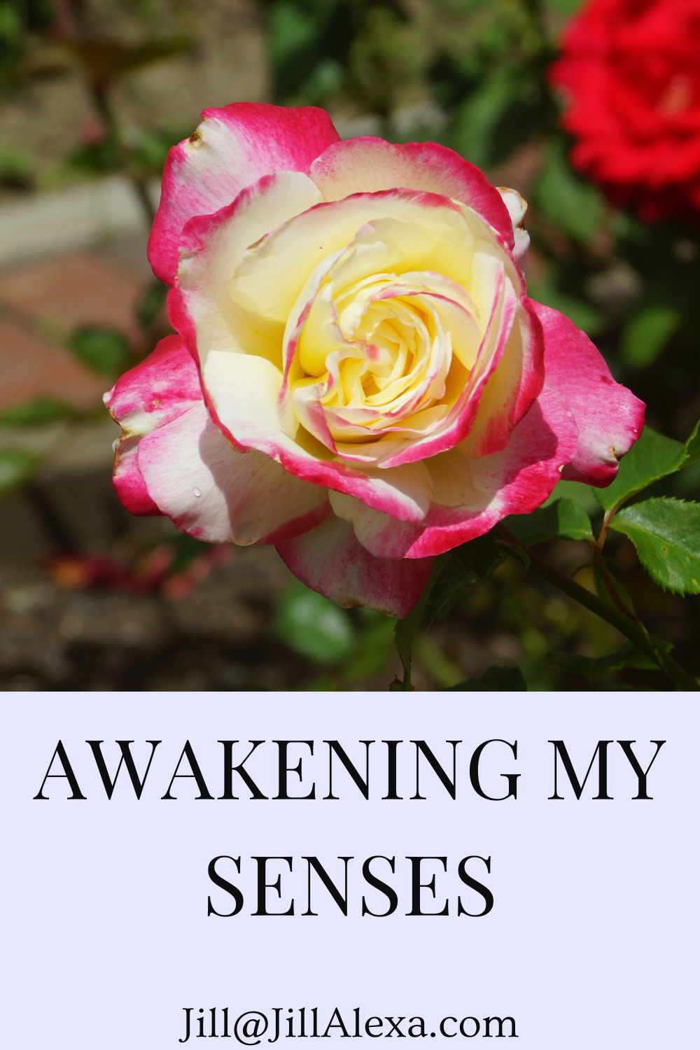  AWAKENING MY SENSES - While we still have our senses intact, it would be a waste and a shame not to use every single one of them to the fullest.
