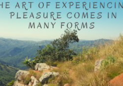 THE ART OF EXPERIENCING PLEASURE COMES IN MANY FORMS | THE ART OF EXPERIENCING PLEASURE COMES IN MANY FORMS