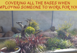 COVERING ALL THE BASES WHEN EMPLOYING SOMEONE TO WORK FOR YOU | COVERING ALL THE BASES WHEN EMPLOYING SOMEONE TO WORK FOR YOU