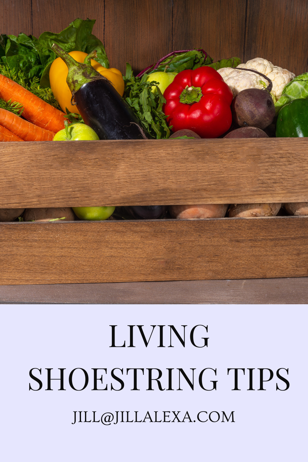 LIVING SHOESTRING TIPS - buy in bulk at the market and share