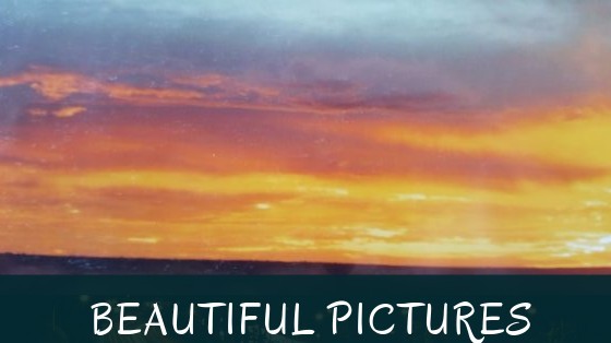 BEAUTIFUL PICTURES | beautiful pictures
