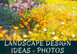 LANDSCAPE DESIGN IDEAS - PHOTOS | landscape design ideas photos