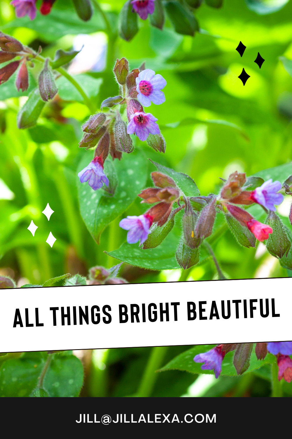 ALL THINGS BRIGHT BEAUTIFUL | ALL THINGS BRIGHT BEAUTIFUL 1