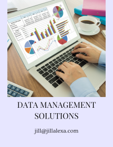BUSINESS DATA MANAGEMENT SOLUTIONS | DATA MANAGEMENT SOLUTIONS 230 ×