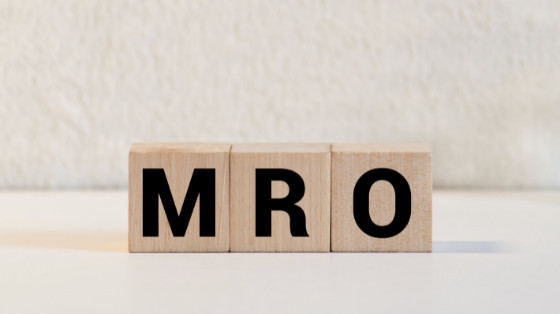 Why Your Company Needs MRO Optimization