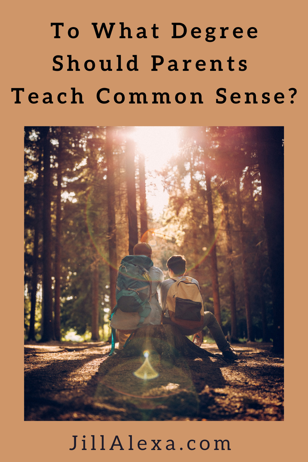 To What Degree Should Parents Teach "Common Sense?" | Common Sense Pin